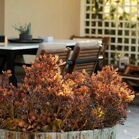 Hébergement de vacances Loft Sweet Loft